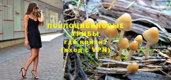 твердый Белокуриха