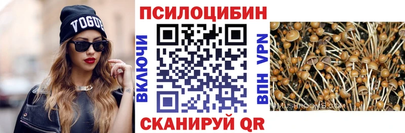 купить наркоту  Горнозаводск  Псилоцибиновые грибы Psilocybine cubensis 